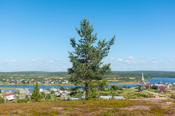 a fir tree in the foreground against a background of blue sky and a panoramic view of the ancient...