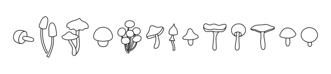 Many little mushrooms, set Wild mushrooms on a white background, outline drawn vector illustration, cartoon style