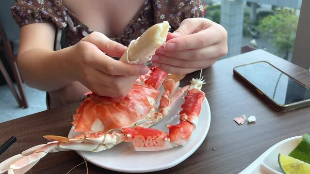 girl eats a large snow crab in a restaurant, examines the huge claws, takes photographs. and writes a blog about the correct cutting of seafood.
