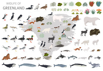 Greenlandic Geography. Design of Greenland wildlife. Animals, birds and plants constructor elements isolated on white set