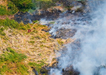 Large-scale fire of dry grass near the forest, extinguished with gifts through the hose of a fire...