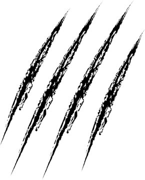 Animal Claw scratches icon vector. Vector illustration of animal claw scratches isolated on transparent background
