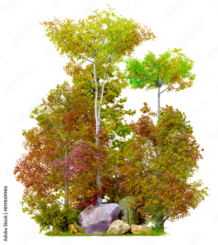 Poster autumn tree group and small forest png transparent ,3d illustration rendering