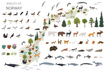 Norway wildlife geography. Animals, birds and plants constructor elements isolated on white set. Norwegian nature infographic