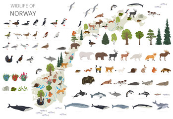 Norway wildlife geography. Animals, birds and plants constructor elements isolated on white set. Norwegian nature infographic © a7880ss