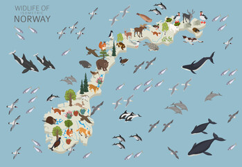 Norway wildlife isometric geography. Animals, birds and plants constructor elements isolated on white set. Norwegian nature infographic