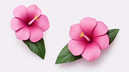 Tropical Hawaiian flower in pink watercolor Illustration, 3D Animator