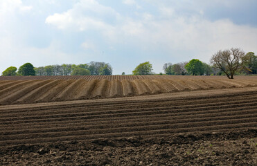 Ploughed furrows crossing fields at different angles, Derbyshire England
