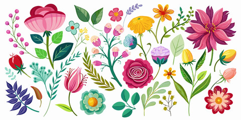 Blossoming Beauty, A Vibrant Collection of Illustrated Flowers