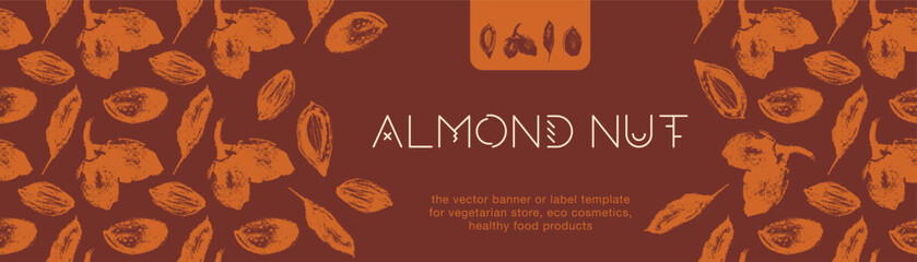 Almond banner background. Almonds seamless pattern. Hand-drawn illustrations of nuts for web banner, oil packaging or marzipan paste label design. Vector floral sketches with almond ornament.