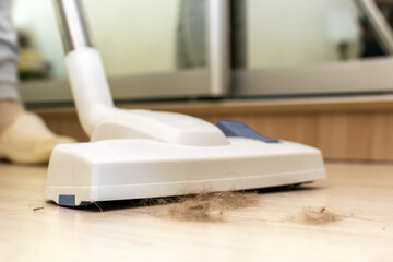 Close-up of woman cleaning dusty and dirty floor with vacuum cleaner at home. Housekeeping, housework, hygiene, cleanliness, housecleaning, dust allergy concept.