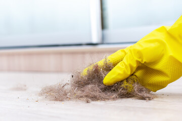 Hand in yellow gloves with dust and dirt on the light wooden filthy floor at home. Housework, hygiene, cleanliness, housecleaning, dusty allergy concept.