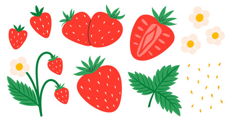 Strawberry set. Red strawberries with leaves and flowers. Juicy summer berries. Flat Vector illustration isolated on white background
