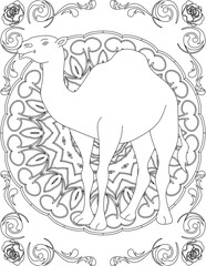 Camel on Mandala Coloring Page. Printable Coloring Worksheet for Adults and Kids. Educational Resources for School and Preschool. Mandala Coloring for Adults
