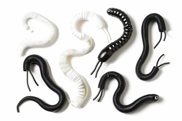 Group of black and white snakes on a white surface. Suitable for educational materials