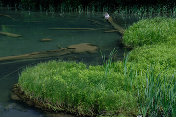 蔦沼（蔦温泉）View from Tsuta pond, Oirase, Aomori.