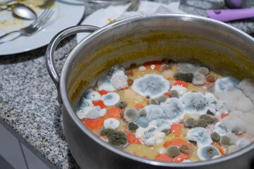 Mold and bacteria in cookware