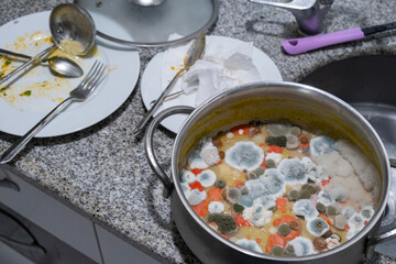 Mold and bacteria in cookware