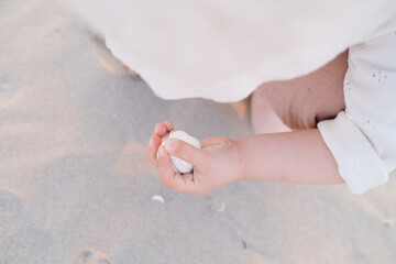 Small Child holding seashells on the beach in Sunset light photographed with shallow depth of field.
