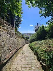 walking through Loschwitz, a beautiful area of Dresden (the capital of Saxony, Germany)