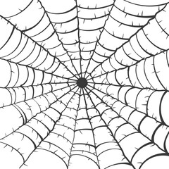 Obraz premium spider web black color only