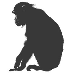 Obraz premium Silhouette Proboscis monkey animal black color only