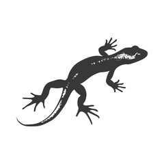 Silhouette salamander animal black color only