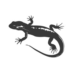 Fototapeta premium Silhouette salamander animal black color only