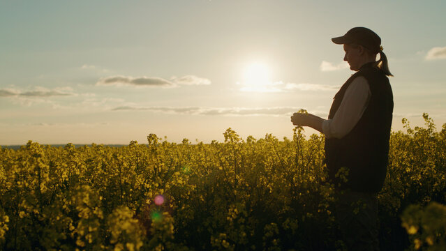 At sunset, a woman farmer is seen standing in a rapeseed field, enjoying the beautiful rural landscape. - Powered by Adobe