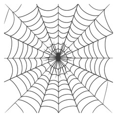 spider web black color only