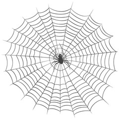 Obraz premium spider web black color only