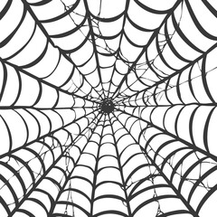 Obraz premium spider web black color only