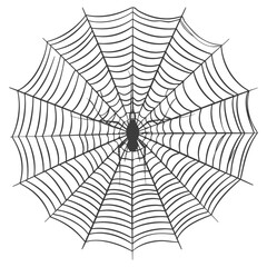 Obraz premium spider web black color only