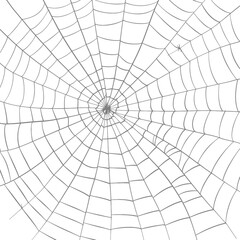 spider web black color only