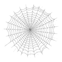 spider web black color only
