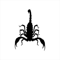 Top view scorpion silhouette isolated on white background. Scorpion icon vector illustration design.