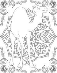 Camel on Mandala Coloring Page. Printable Coloring Worksheet for Adults and Kids. Educational Resources for School and Preschool. Mandala Coloring for Adults
