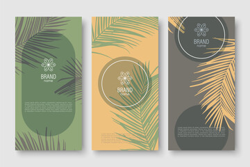 Branding packaging nature leaves background, voucher, logo, banner with palm leaves. Summer tropical vector botanical illustration.