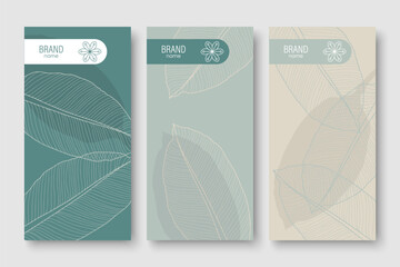 Branding packaging nature leaves background, voucher, logo, banner. Monochrome blue vector botanical illustration.