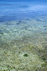Clear ocean  with sunny sky in Siquijor