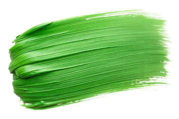 Green Textured Brush Stroke: A textured green brush stroke with natural, uneven edges, suitable for organic and eco-friendly designs.
