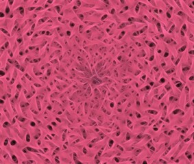 Sky Cloud Pics Abstract Graphic Illustrations