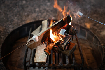 焚火でマシュマロを焼く