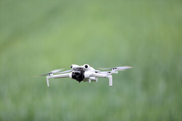 Dron w powietrzu na tle zielonego zboża. © Stanisław Błachowicz