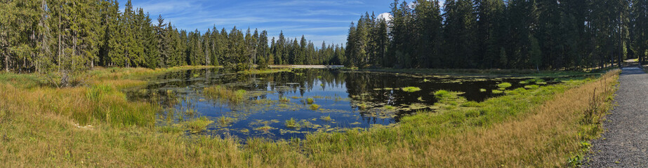 Pond at nature studies path at Kladska, Czech Republic, Europe

