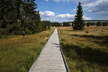 Boardwalk in Bozidarske raseliniste (Moorland) at Bozi Dar, Czech Republic, Europe
