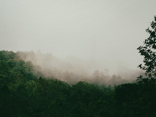 Fog on the mountains during the rainy season     