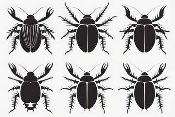 A collection of four different bug species. Suitable for educational materials