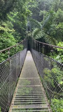 vid&eacute;o d'une personne marchant sur un pont suspendu en plein milieu de la nature verdoyante. dans la jungle du Costa Rica, dans une for&ecirc;t tropicale humide