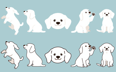 Simple and adorable white dogs illustrations set